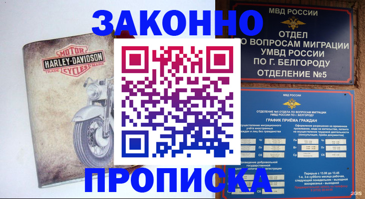 прописка для школы в Камбарке